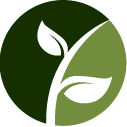 Macks Fruit Tree Pruning