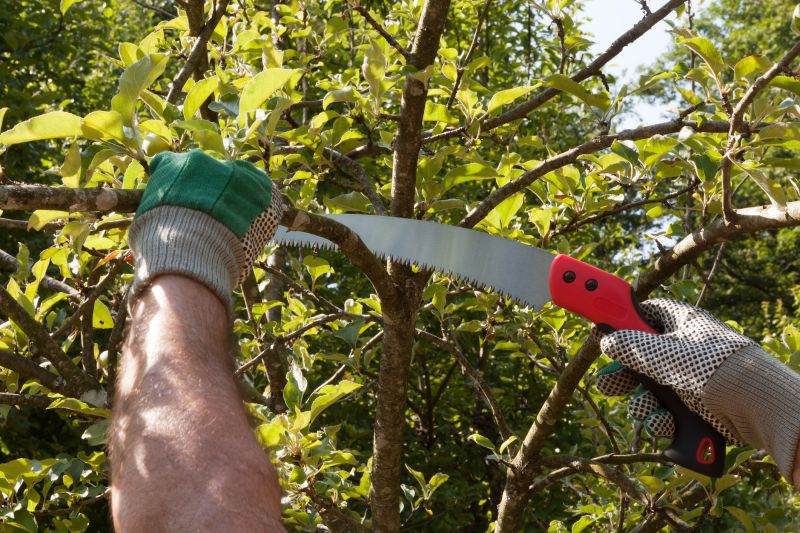 Seasonal Pruning Timing