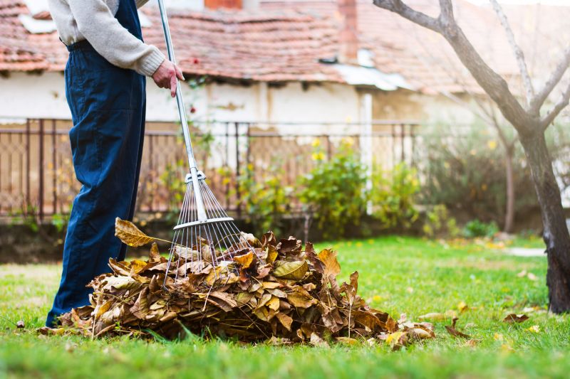 Efficient Leaf Cleanup