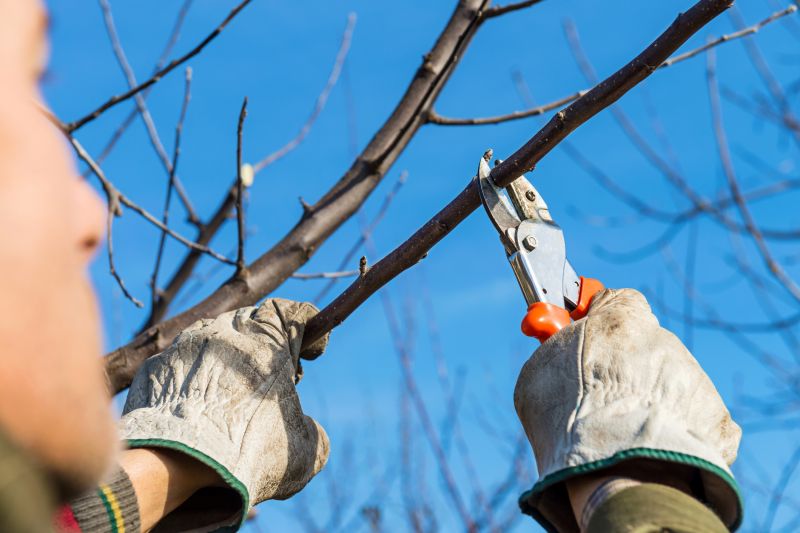 Pruning Equipment